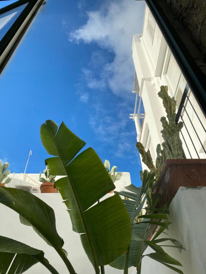 Suites Edivino Design Capri Eksteriør billede